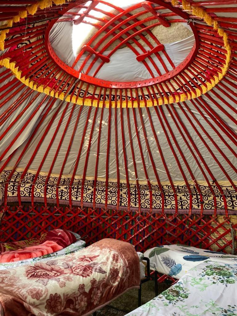 ホテル Zalkar Yurt Camp Song-Kul エクステリア 写真